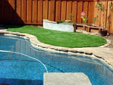 Fake Pet Turf Hawthorne California Landscape artificial grass